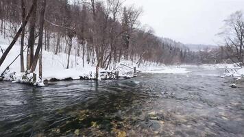 In a tranquil winter landscape, a river flows gently through snowcovered trees, creating an idyllic setting perfect for relaxing and appreciating natures peaceful beauty video