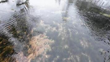 A tranquil scene that showcases the beauty of clear waters reflecting the stunning aspects of nature around, making it a perfect illustration of calmness and serenity in stock media assets video