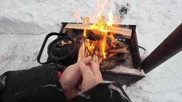 A person is warming their hands by a crackling fire on a snowy day, enveloped by the tranquil beauty of winter, creating an ideal moment of comfort and survival in the midst of nature video