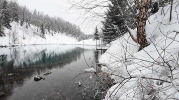 In a tranquil winter scene, snowladen trees tower majestically while a calm river flows gracefully, together creating a beautifully peaceful atmosphere amid a stunning snowy landscape video