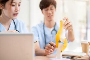 A female medical student is examining a model of bone joints and discussing it with her classmate. photo