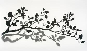 Silhouette of branch with leaves casting a shadow on a white background, creating a minimalist and artistic composition photo