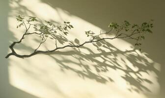Green leafy branches leaves draping elegantly, casting delicate shadow on pristine white wall under soft sunlight background photo
