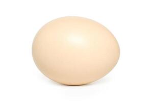 single egg with shadow photo