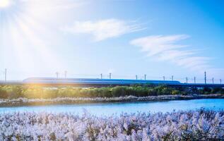 The train passed over the bridge, lake, trees and reeds on the side, high-speed railway photo