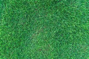 grass field pattern, nobody, top view photo