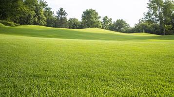 Lush green landscape with rolling hills under a clear sky. photo