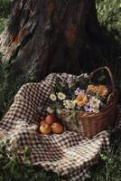 Basket of fresh flowers and fruits resting under a tree in a sunny meadow photo