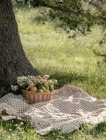 Enjoying a sunny afternoon picnic under a tree with fresh fruit and flowers photo