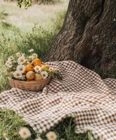 Bask in a serene picnic setting with fresh flowers and fruits under a tree photo