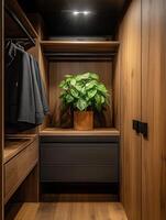 Stylish closet with wooden shelving and decorative plant in modern design photo