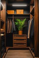 Stylish closet interior with modern design and greenery accentuating space photo