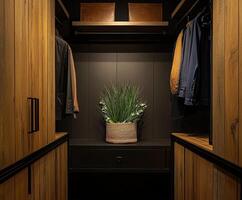 Modern closet design featuring greenery and organized storage solutions photo