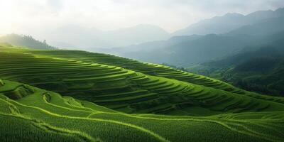 Lush green terraced rice fields against misty mountain backdrop in morning light photo