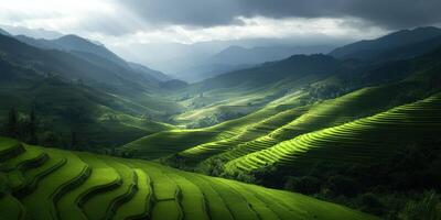 Lush green terraced fields in a misty valley under dramatic skies photo