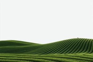 Rolling green hills with textured patterns under a clear sky at sunset photo