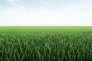 Lush green grass field under bright blue sky during daytime photo