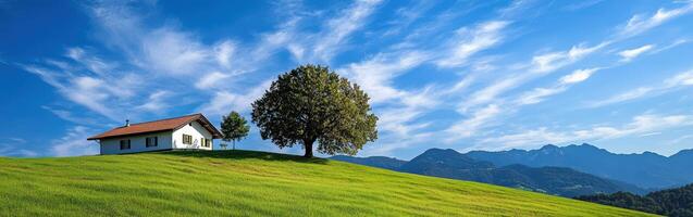 Scenic hillside view with a house and tree under a blue sky photo