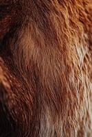Close-up of soft wool fibers showcasing rich textures and earthy tones photo