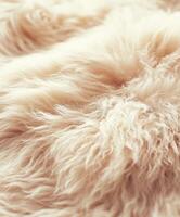 Soft wool texture displayed on a light surface capturing warmth and comfort photo