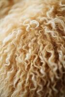 Soft golden wool texture highlights natural beauty and warmth photo