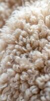 Close-up view of soft wool fibers with natural curly texture photo