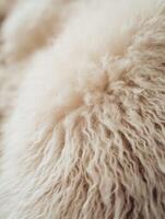 Soft wool texture captured in close-up, revealing intricate fibers and patterns photo