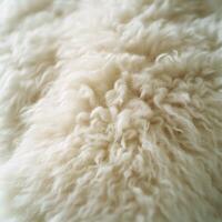 Soft and fluffy wool texture showcasing natural fibers in light photo