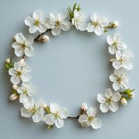 White cherry blossom frame with delicate flowers and buds on grey background photo