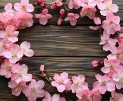 Beautiful pink cherry blossoms arranged in a circular frame on wooden surface photo