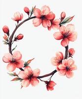 Beautiful cherry blossom wreath with pink flowers and buds on a white background photo