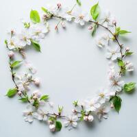 Floral wreath made of white and pink cherry blossoms on a light background photo