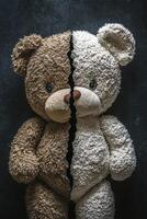 Two teddy bears split in half showcasing contrasting colors and textures photo