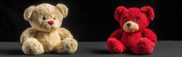 Two plush teddy bears on a dark background showcasing different colors photo