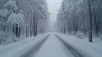 Snowy road leading through winter forest covered in snow photo