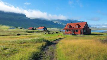 Icelandic horses grazing near a red farmhouse in seydisfjordur, iceland photo