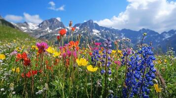 Colorful wildflowers blooming in meadow with mountain landscape photo