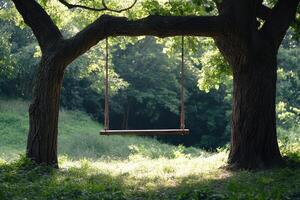 Empty swing hanging from a tree branch in a peaceful forest photo