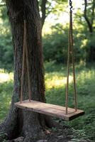 Wooden swing hanging from a tree in a forest setting photo
