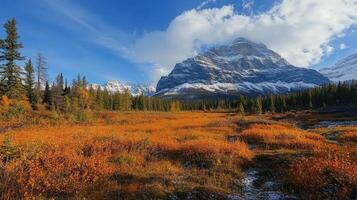 Mount assiniboine provincial park shining in autumn colors with snow covered peak photo