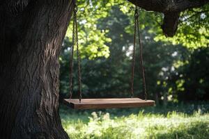 Empty swing hanging from a tree branch in a peaceful forest photo
