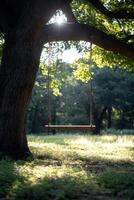 Empty swing hanging from a tree in a sunny park photo