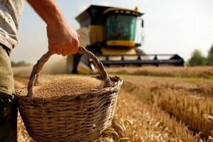 A person holding a basket full of wheat photo