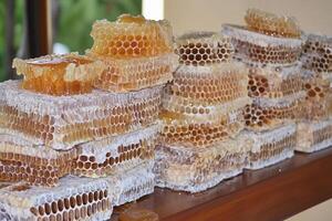 Honeycomb is stacked on a table photo