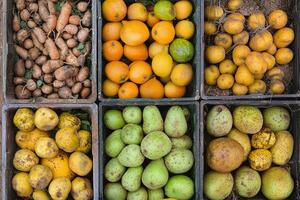 A variety of fruits and vegetables in a box photo