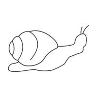 black snail icon vector