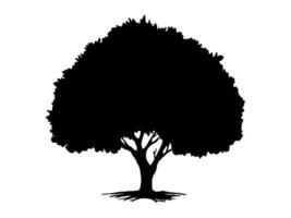 Black Trees and root with leaves look beautiful and refreshing. vector