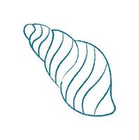 Chalk seashell doodle. Crayon marine shell sketch. Aquatic creature in ocean, flat texture style, suitable for summer backgrounds or educational materials. vector
