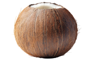 Natural coconut with husk showing unique texture and shape, commonly found in tropical regions png