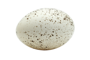 Unique speckled egg resting on a clean surface, showcasing its distinct pattern and form in natural light png